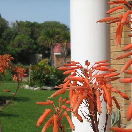 Nell'S B&B Kleinbaai Dış mekan fotoğraf